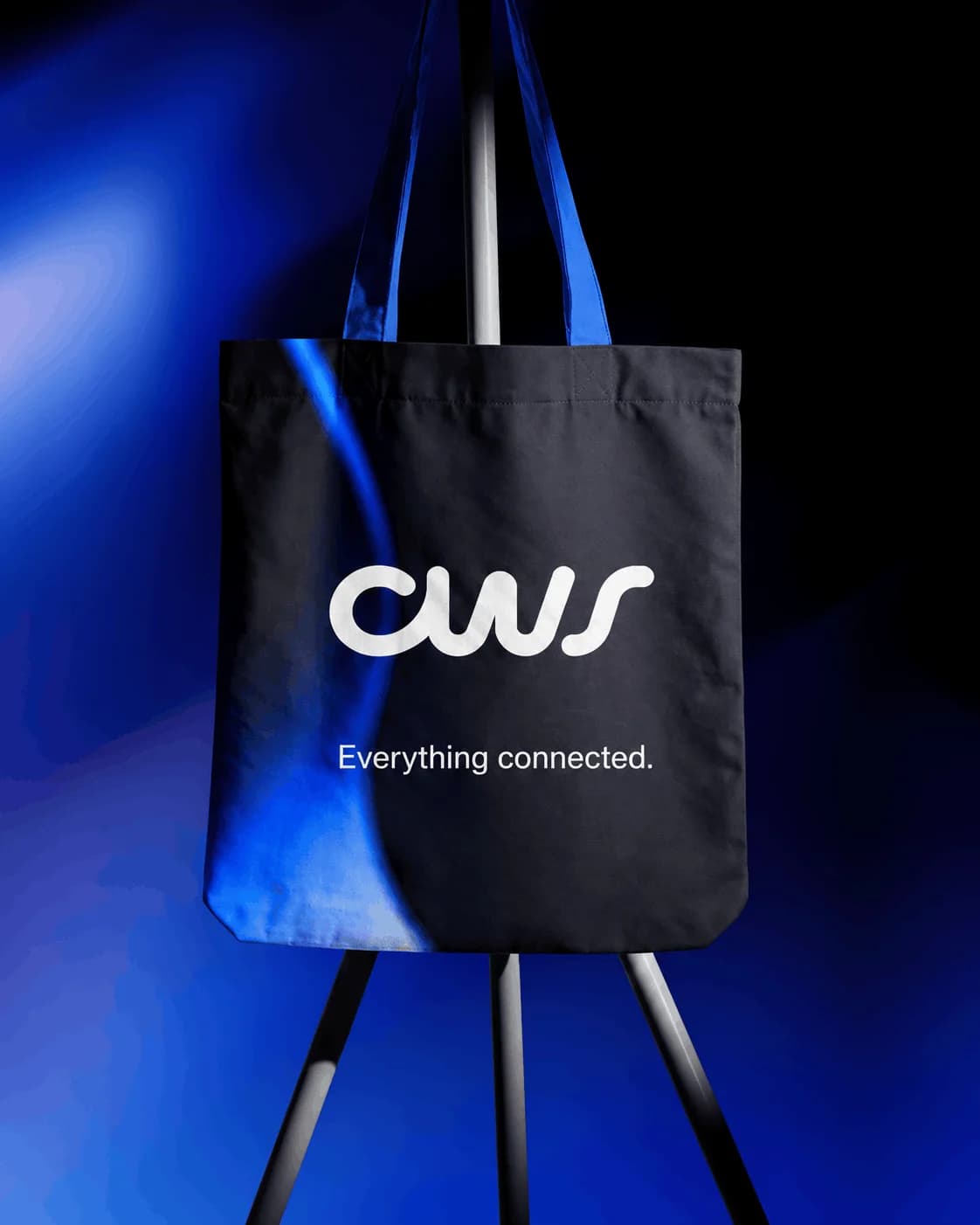 CWS identity: everything connected